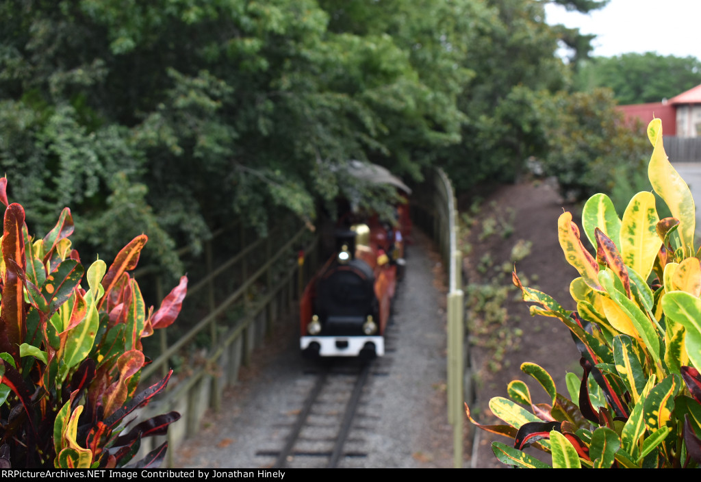 Busch Gardens Railroad